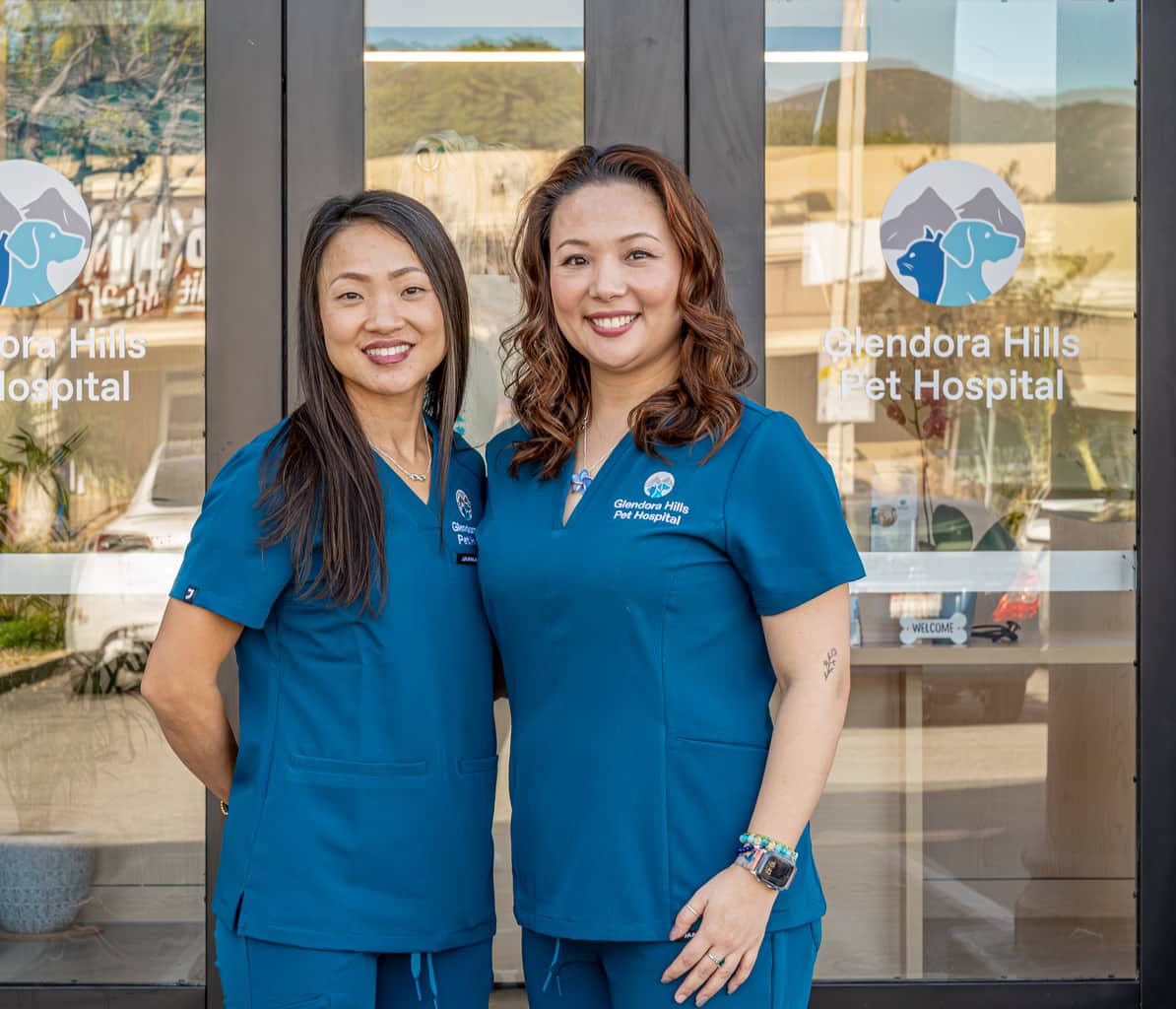 Welcome to Glendora Hills Pet Hospital